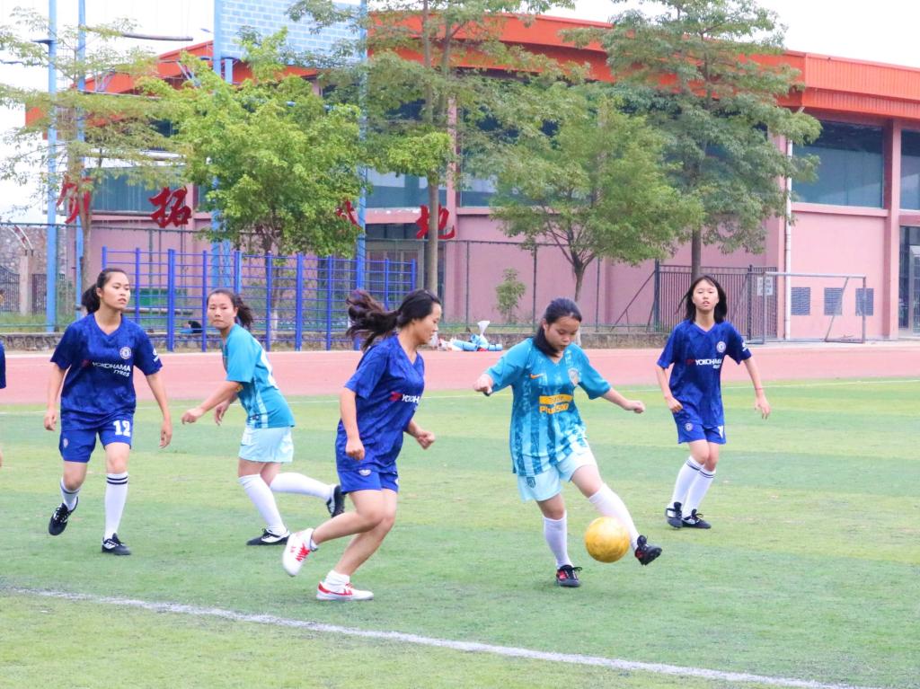 荷兰女子足球队展现团队实力,成功晋级的简单介绍 荷兰女子足球队展现团队实力,成功晋级的简单介绍