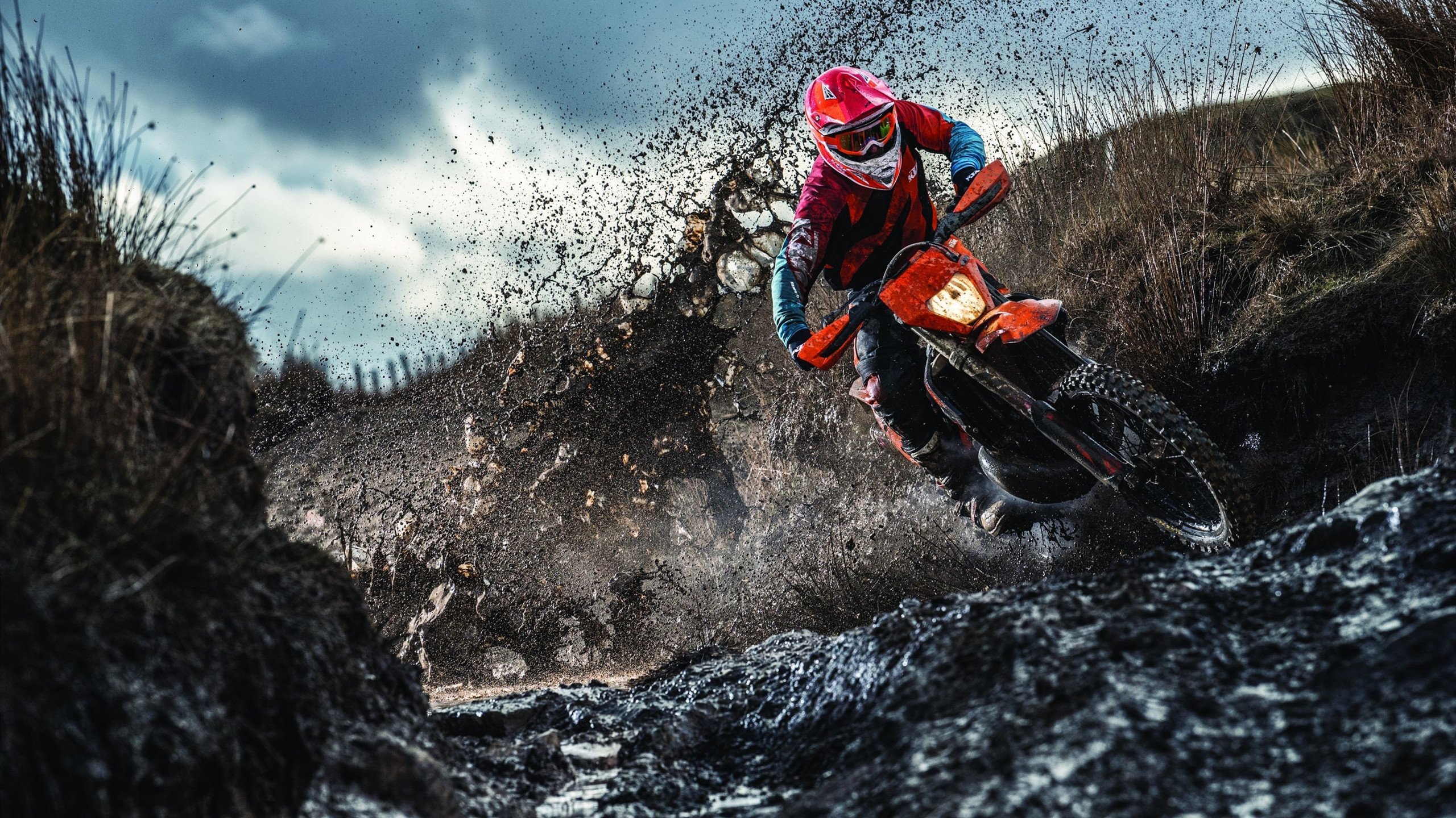 赛场之外的焦点，当NBA季后赛遇上伊朗篮球的崛起启示